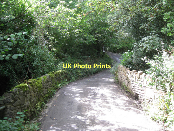 Photo 6"x4" Hyner Bridge  Hennock c2011
