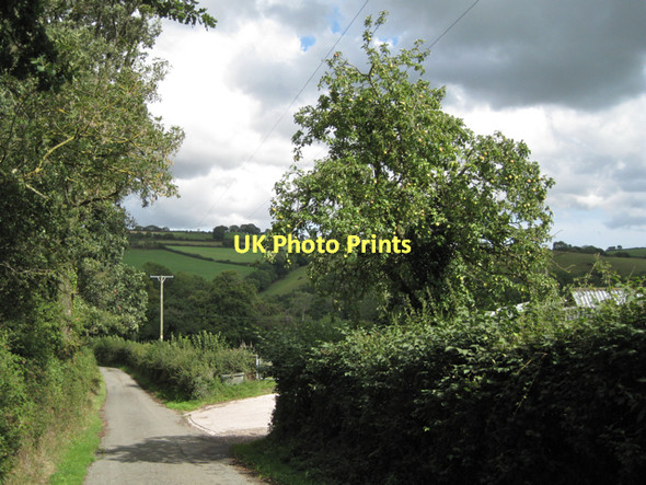 Photo 6"x4" Apple tree at the gate to Hyner Farm  Hennock c2011