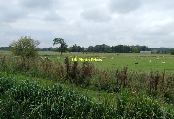 Photo 6"x4" Canal towpath and riverside pasture near Great Haywood, Staffordshire Little Ingestre c2011