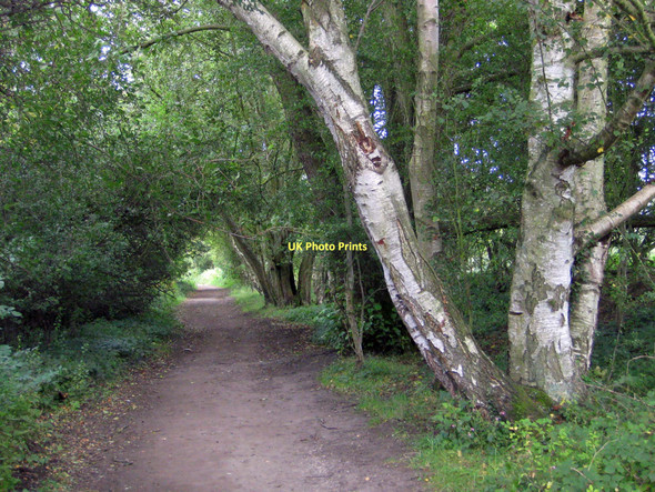 Photo 6"x4" Rail Trail to Grosmont, in the steps of Stephenson Green End\/NZ8203 c2011