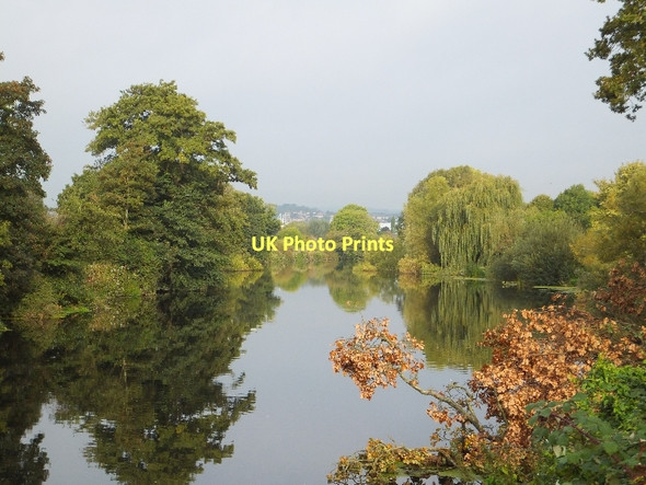 Photo 6"x4" The River Exe near Belle Isle Exeter c2011