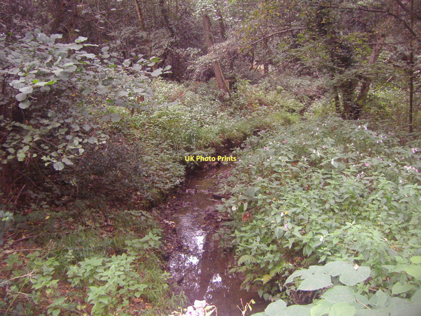 Photo 6"x4" Stream on Arbrook Common, Claygate Esher c2011