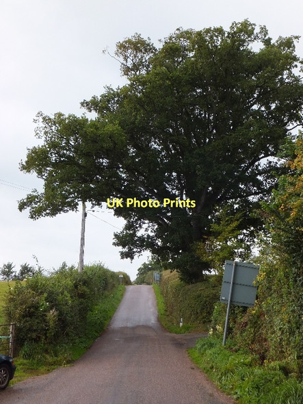 Photo 6"x4" Road passing Crannaford Farm Jack-in-the-Green c2011