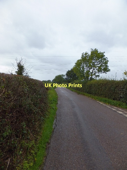 Photo 6"x4" Road to Lower Burrowton Higher Burrowtown c2011