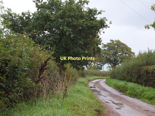 Photo 6"x4" Saundercroft Road Jack-in-the-Green c2011