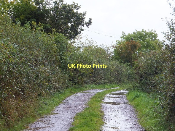 Photo 6"x4" Lane (public footpath) to Barnshayes and Whimple Whimple c2011