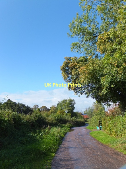 Photo 6"x4" Road passing Hitts Farm Aller Grove c2011