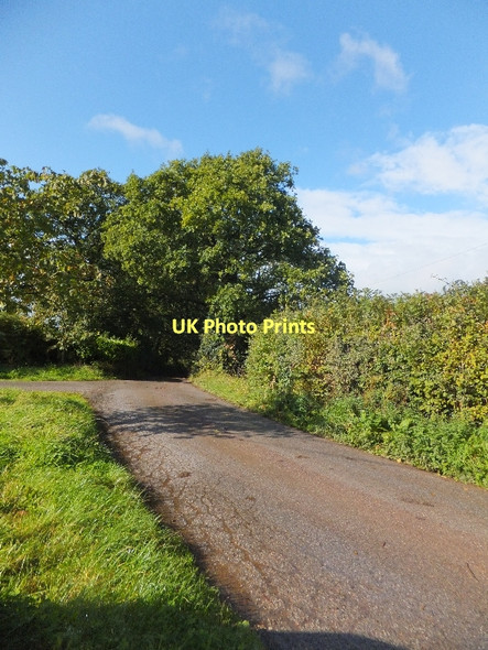 Photo 6"x4" Minor road passing Larkbeare Court Larkbeare c2011