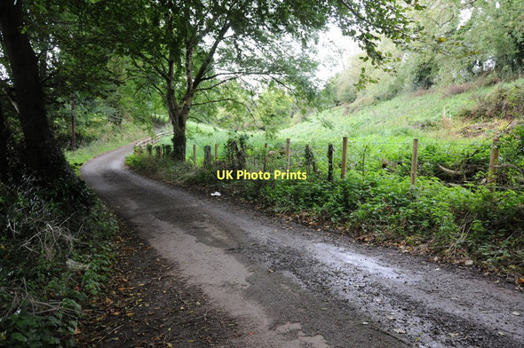 Photo 6"x4" Country road near Winter Hall Mayeston c2011