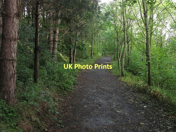 Photo 6"x4" Pennine Cycleway Etal c2011