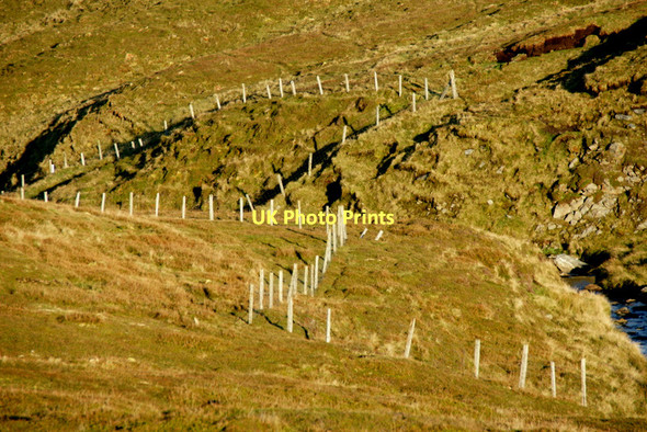 Photo 6"x4" Fenceposts along the Burn of Skaw Kirkaton c2011
