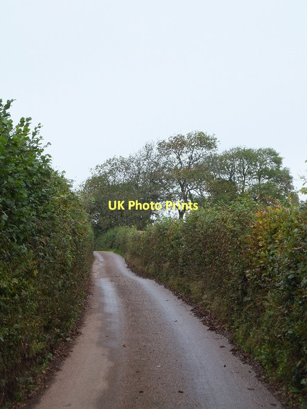 Photo 6"x4" Road north of Hensleigh Farm Calverleigh c2011