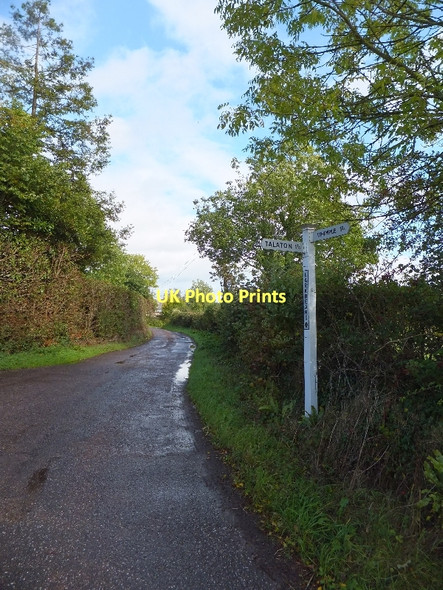 Photo 6"x4" Larkbeare Cross; road eastwards through Larkbeare Fairmile\/SY0897 c2011