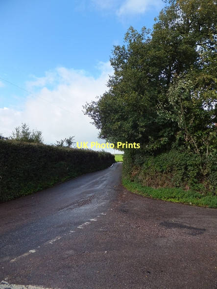 Photo 6"x4" Larkbeare Cross: road north to Beacon Cross Fairmile\/SY0897 c2011