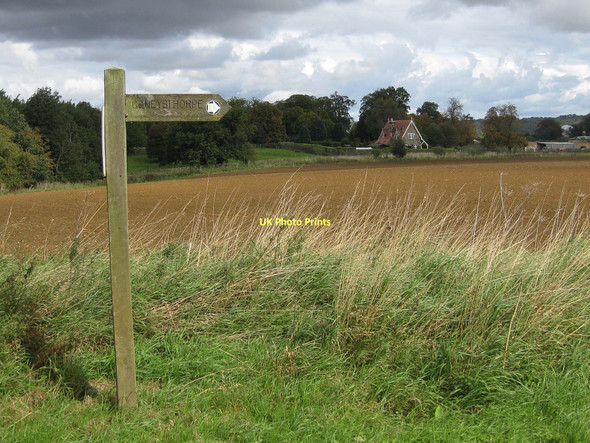 Photo 6"x4" Arable land near Swiss Cottage Coneysthorpe c2011