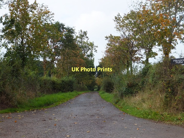 Photo 6"x4" Approach road to Peradon Farm Higher Tale c2011