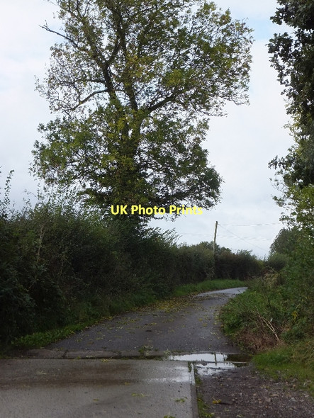 Photo 6"x4" Track to Marsh Farm, a public footpath Aunk c2011