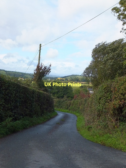 Photo 6"x4" Minor road north of Sampford Land Farm Langford\/ST0202 c2011