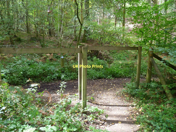 Photo 6"x4" Barrier at footpath and bridleway junction in Winterfold Wood Farley Green\/TQ0645 c2011