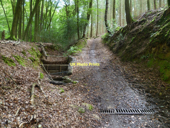 Photo 6"x4" Drainage channel in Winterfold Wood Farley Green\/TQ0645 c2011