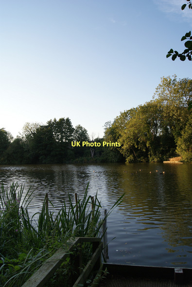 Photo 6"x4" Maiden Erlegh Lake Earley c2011