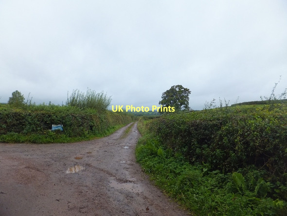 Photo 6"x4" Road to Burridge Farm Cotteylands c2011