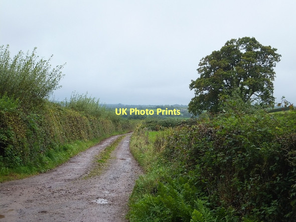 Photo 6"x4" Access road to Lower Brook farm Cotteylands c2011