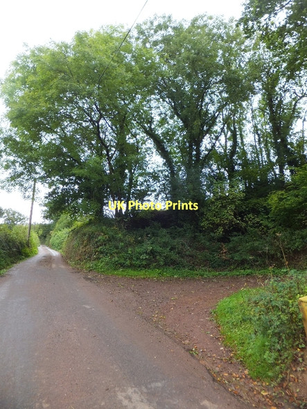 Photo 6"x4" Former quarry near Huntland Wood Little Silver\/SS9109 c2011