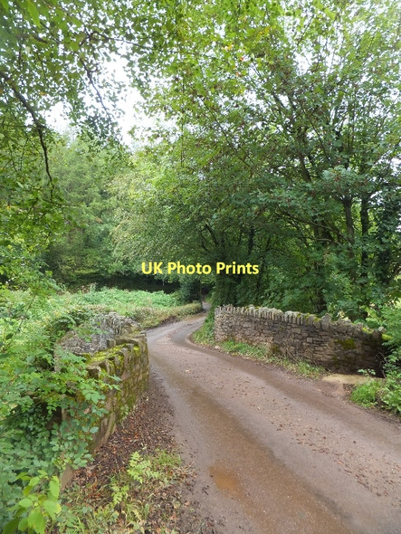 Photo 6"x4" Worthy Bridge over River Dart Little Silver\/SS9109 c2011