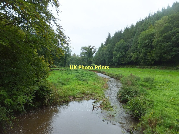 Photo 6"x4" River Dart from Worthy Bridge Little Silver\/SS9109 c2011