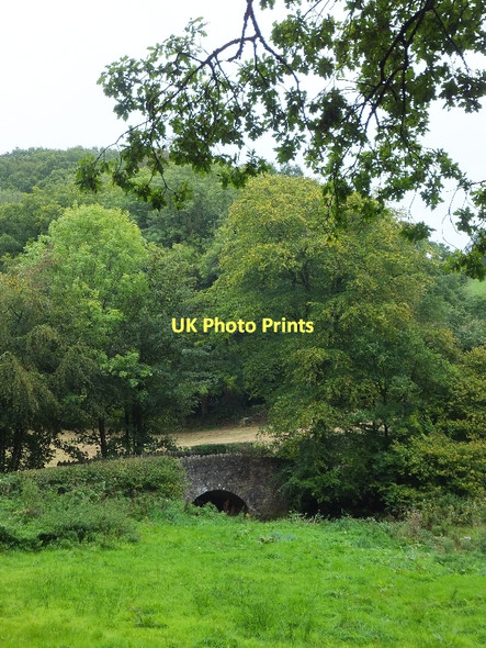 Photo 6"x4" Worthy Bridge and Huntland Wood Little Silver\/SS9109 c2011