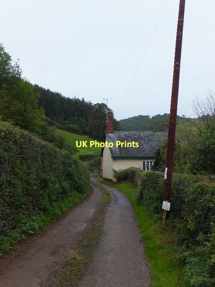 Photo 6"x4" Minor road passing Meadhayes Farm Little Silver\/SS9109 c2011