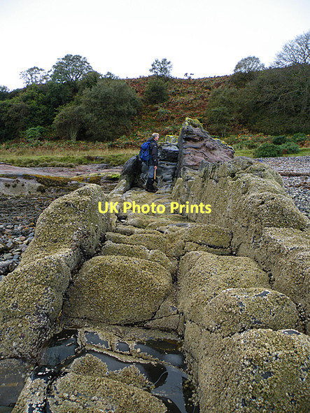 Photo 6"x4" Dolerite Dyke Kilchattan Bay\/NS1055 c2011