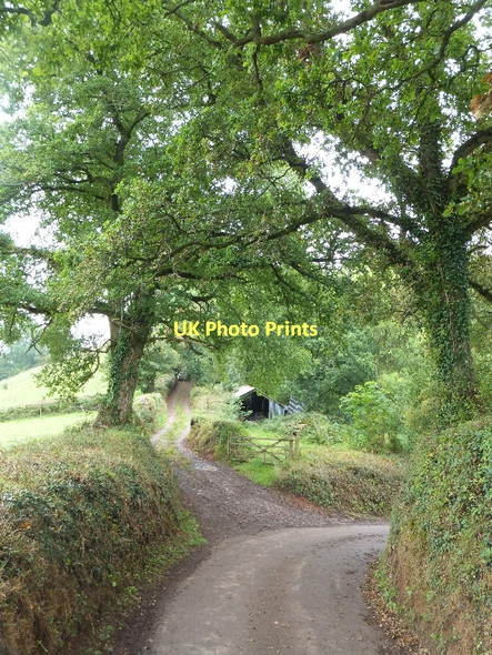 Photo 6"x4" End of a bridleway leading to Little Silver Little Silver\/SS9109 c2011