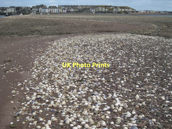 Photo 6"x4" On the Salty: 7  Teignmouth c2011