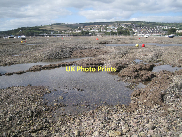 Photo 6"x4" On the Salty: 17  Teignmouth c2011