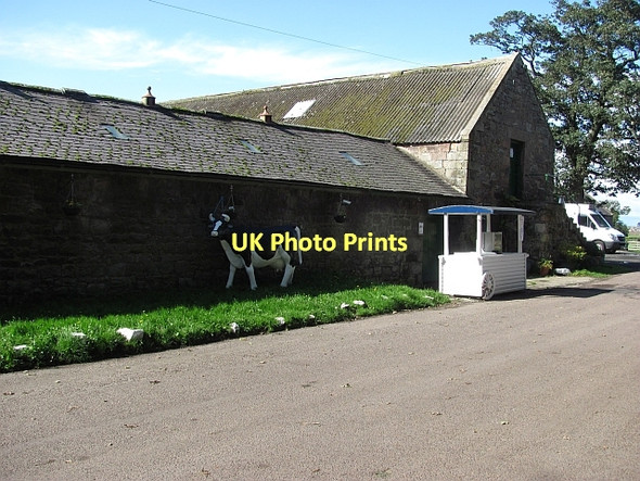 Photo 6"x4" North Doddington Farm Doddington\/NT9932 c2011