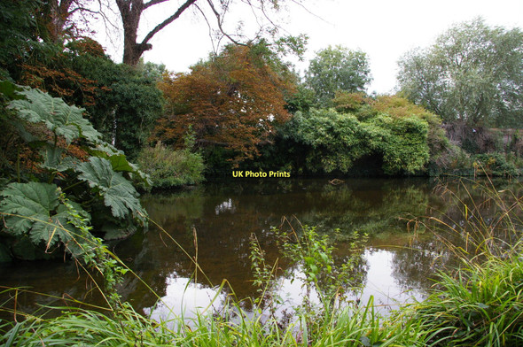 Photo 6"x4" River Wandle, Morden Hall Park Morden\/TQ2568 c2011