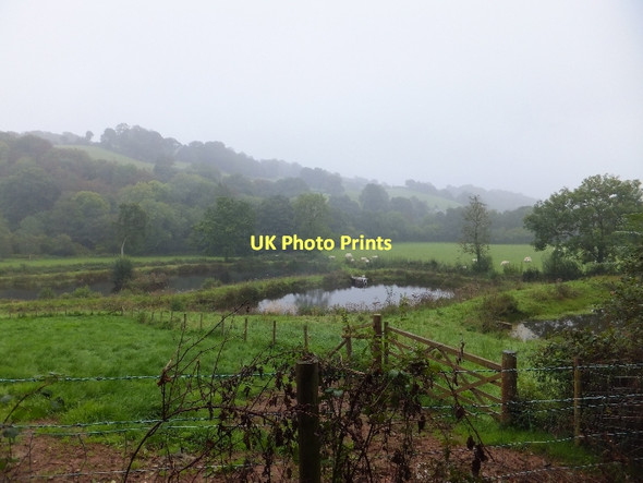 Photo 6"x4" Three ponds beside the River Dart Cadeleigh c2011