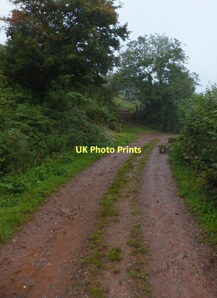 Photo 6"x4" Bridleway and track north of Dart Cottages Cadeleigh c2011