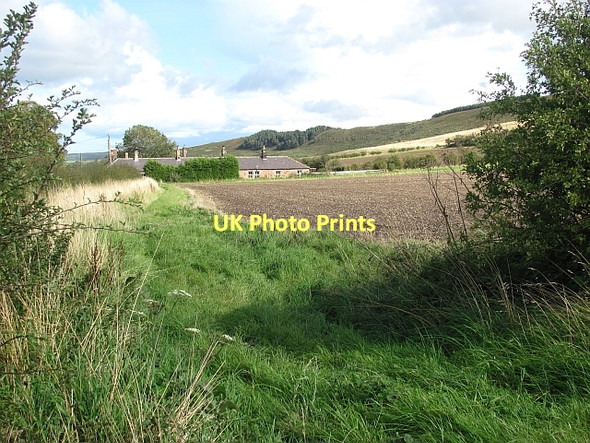 Photo 6"x4" West Weetwood Wooler c2011