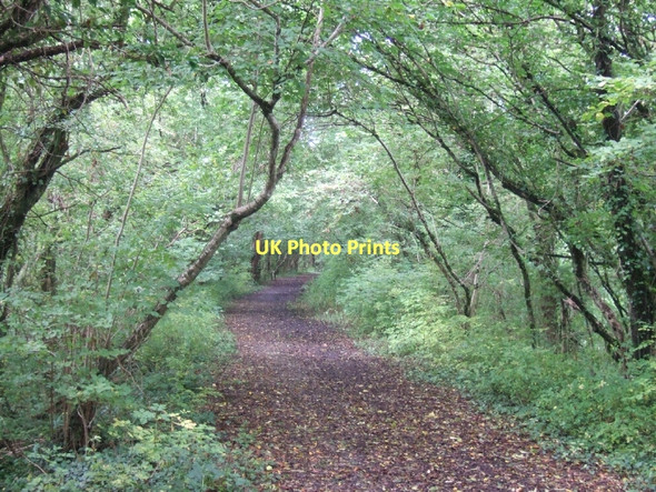 Photo 6"x4" Path along the abandoned railway west of Brushford Brushford\/SS9225 c2011