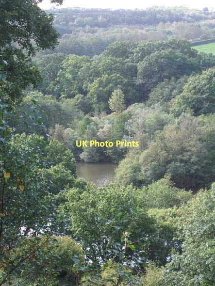 Photo 6"x4" Lake in Brockley River valley Brushford\/SS9225 c2011