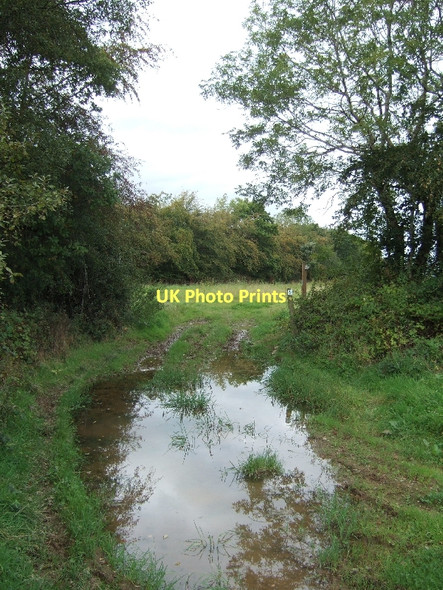 Photo 6"x4" Part of the Exe Valley Way after heavy rain Bampton\/SS9522 c2011