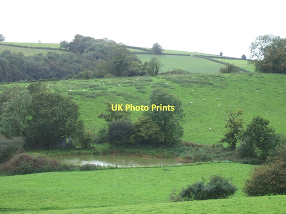 Photo 6"x4" Pond near Rows Farm Bampton\/SS9522 c2011