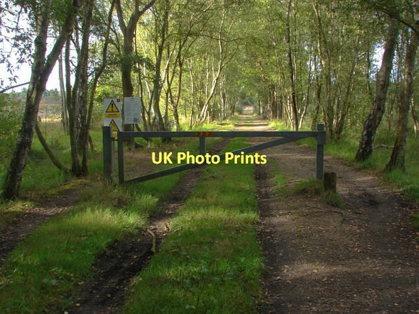 Photo 6"x4" Military track Donkey Town c2011
