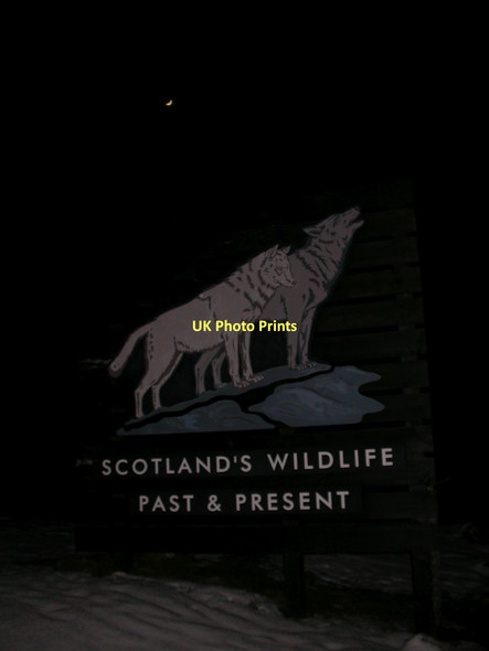 Photo 6"x4" Entrance sign for Highland Wildlife Park Balavil\/NH7902 c2005