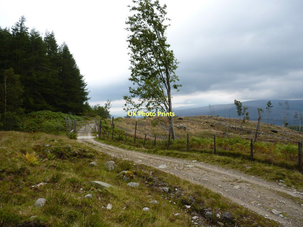 Photo 6"x4" Gate out of the forest Allt Leachdach c2011