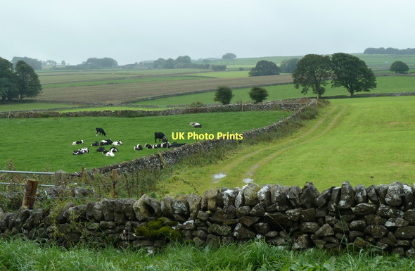 Photo 6"x4" Fields on Flagg Moor Flagg c2011