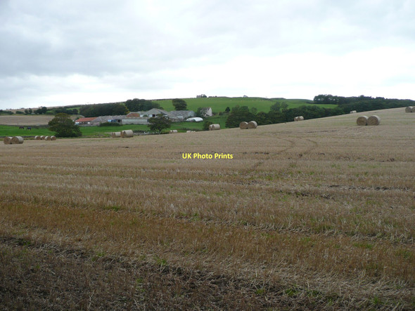 Photo 6"x4" Northfield Farm Northfield\/NT9167 c2011